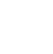 circle lines white