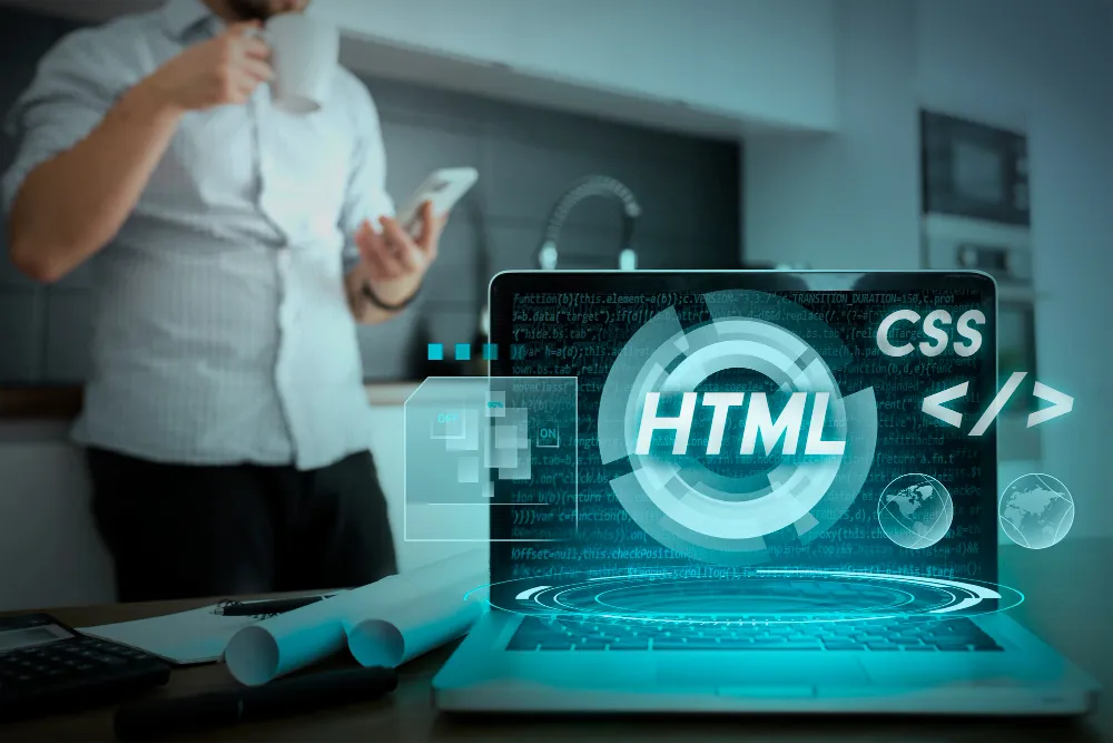 WordPress Developers